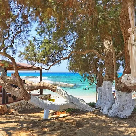 Sea Pearl Beachfront - Breeze *